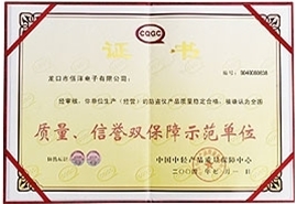 質(zhì)量、信譽雙保障示范單位